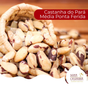 Castanha do Pará Média Ponta Ferida 160g