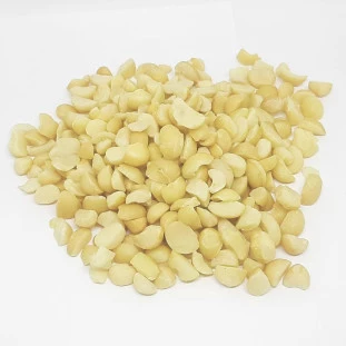 Macadâmia Natural T5 100g - Sem Sal