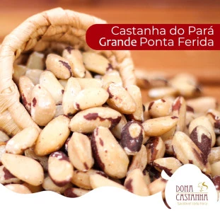 Castanha do Pará Grande Ponta Ferida 500g