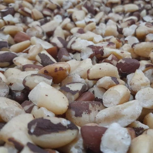Castanha do Pará Quebrada Metade 100g